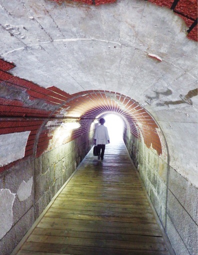 マンボウトンネル