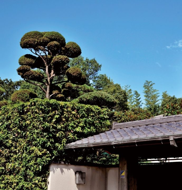 千歳町について 神戸っ子