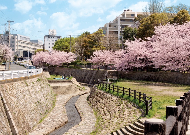 多彩な暮らしが、すぐそばに：神戸“山の手”の暮らしを語る ① 神戸っ子