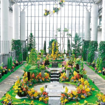 国生みのふるさと 淡路島へ 兵庫県立淡路夢舞台温室 奇跡の星の植物館 日本最大級の植物館で生命の奇跡にふれる 神戸っ子